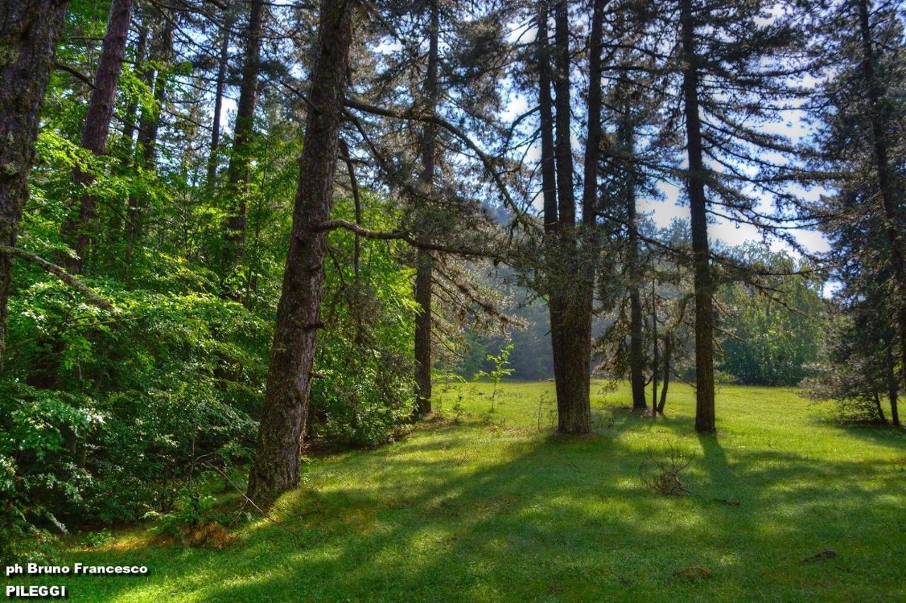 Villa La Ficuzza سيتاديلا ديل كابو المظهر الخارجي الصورة